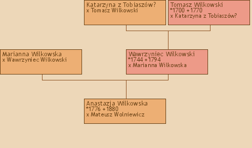 Wywd przodkw - Anastazja Wilkowska