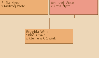 Wywd przodkw - Brygida Welc