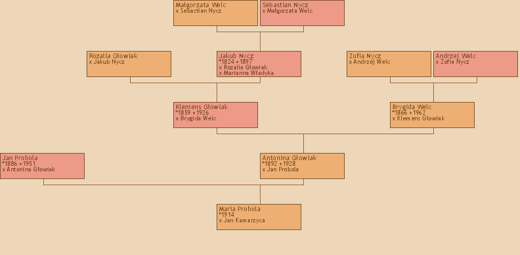 Wywd przodkw - Maria Probola