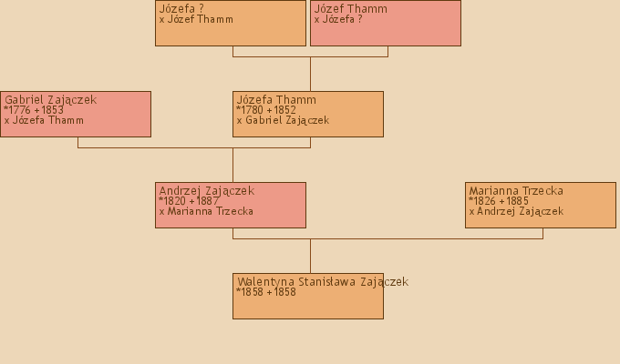 Wywd przodkw - Walentyna Stanisawa Zajczek