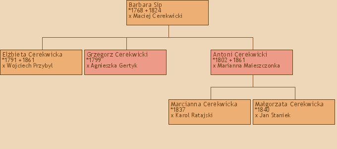 Drzewo genealogiczne - Barbara Sip