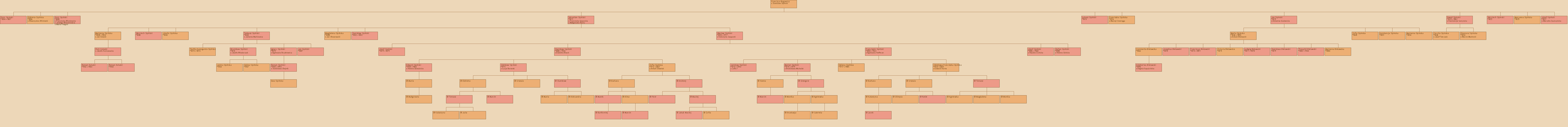 Drzewo genealogiczne - Francisca Rogowicz