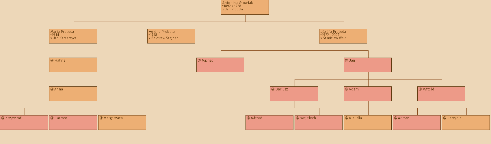 Drzewo genealogiczne - Antonina Gowiak