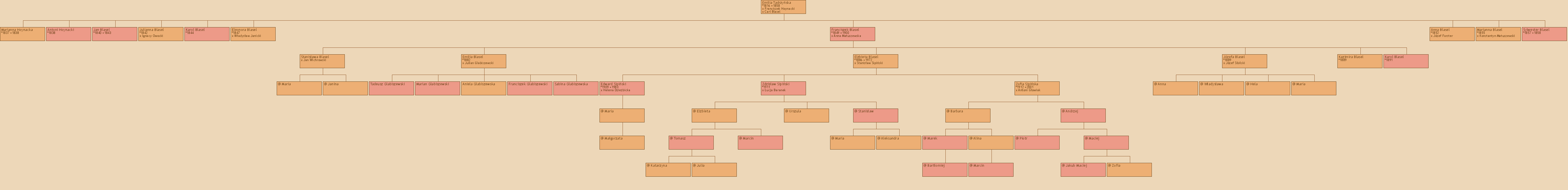 Drzewo genealogiczne - Emilia Tadrzyska