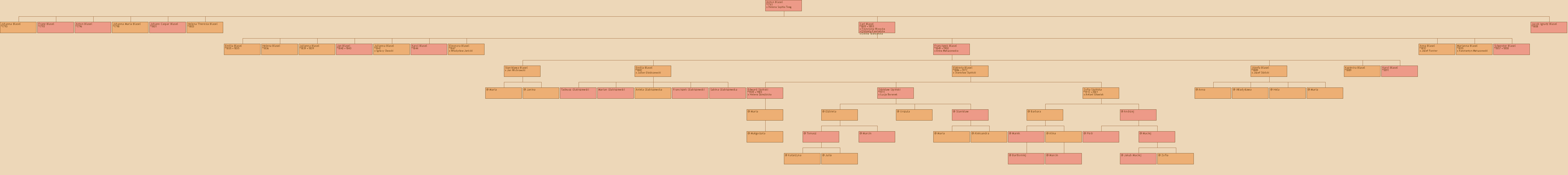 Drzewo genealogiczne - Anton Blasel