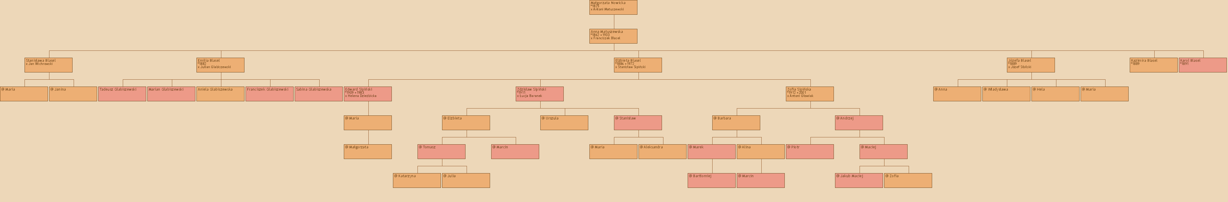 Drzewo genealogiczne - Magorzata Nowicka