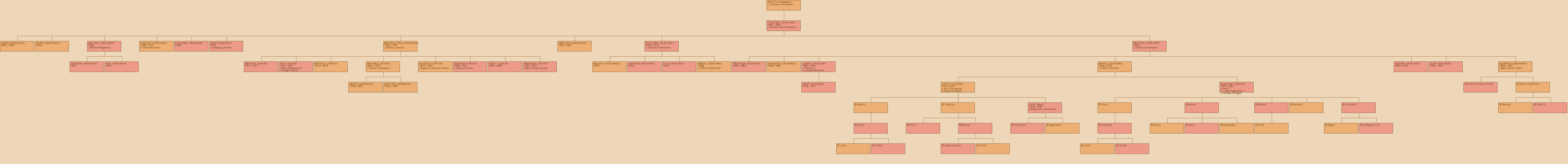 Drzewo genealogiczne - Tekla Tomaszewska