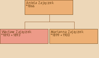 Drzewo genealogiczne - Aniela Zajczek