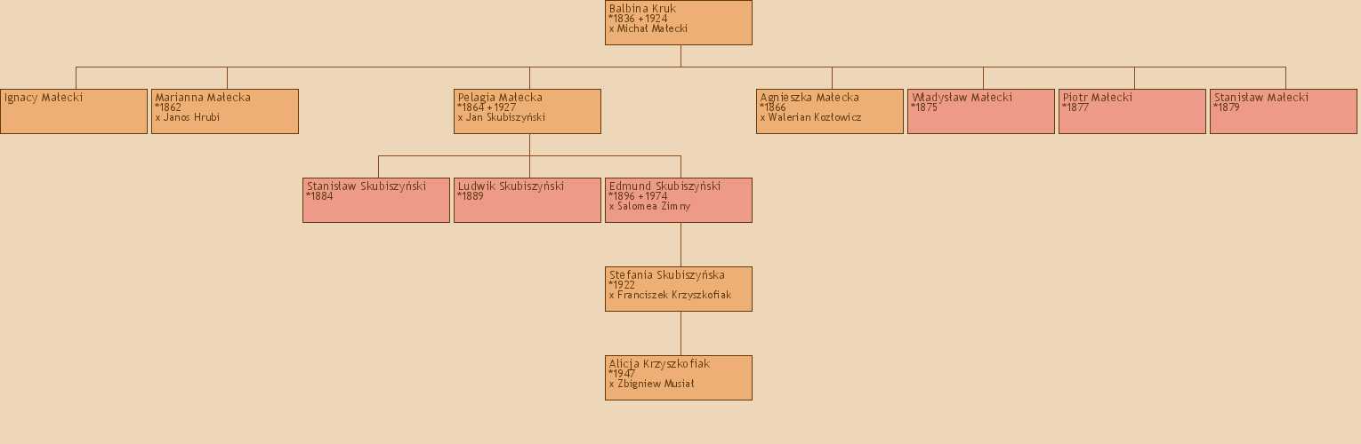 Drzewo genealogiczne - Balbina Kruk