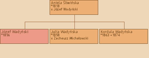 Drzewo genealogiczne - Aniela liwiska