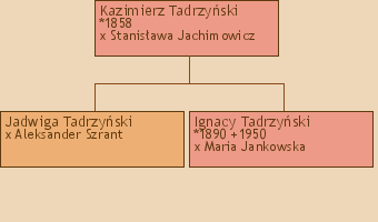 Drzewo genealogiczne - Kazimierz Tadrzyski