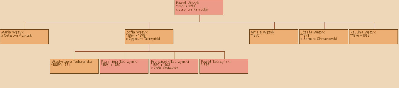 Drzewo genealogiczne - Pawe Wyk