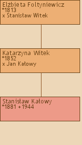 Drzewo genealogiczne - Elbieta Foltyniewicz