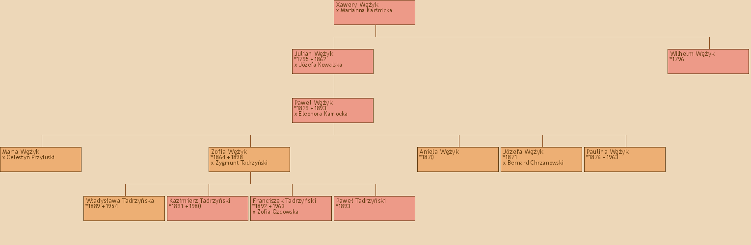 Drzewo genealogiczne - Xawery Wyk