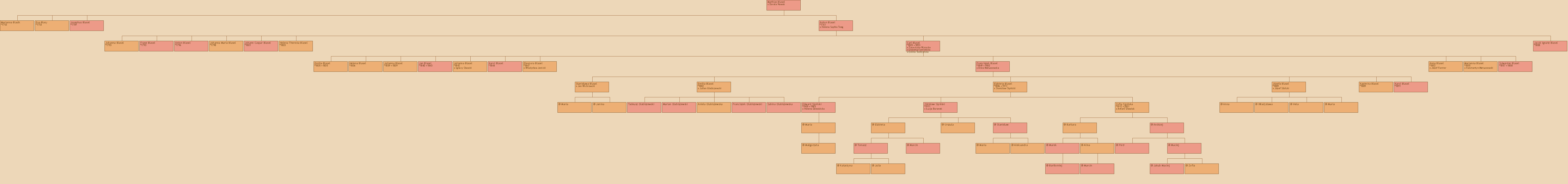 Drzewo genealogiczne - Mathias Blasel