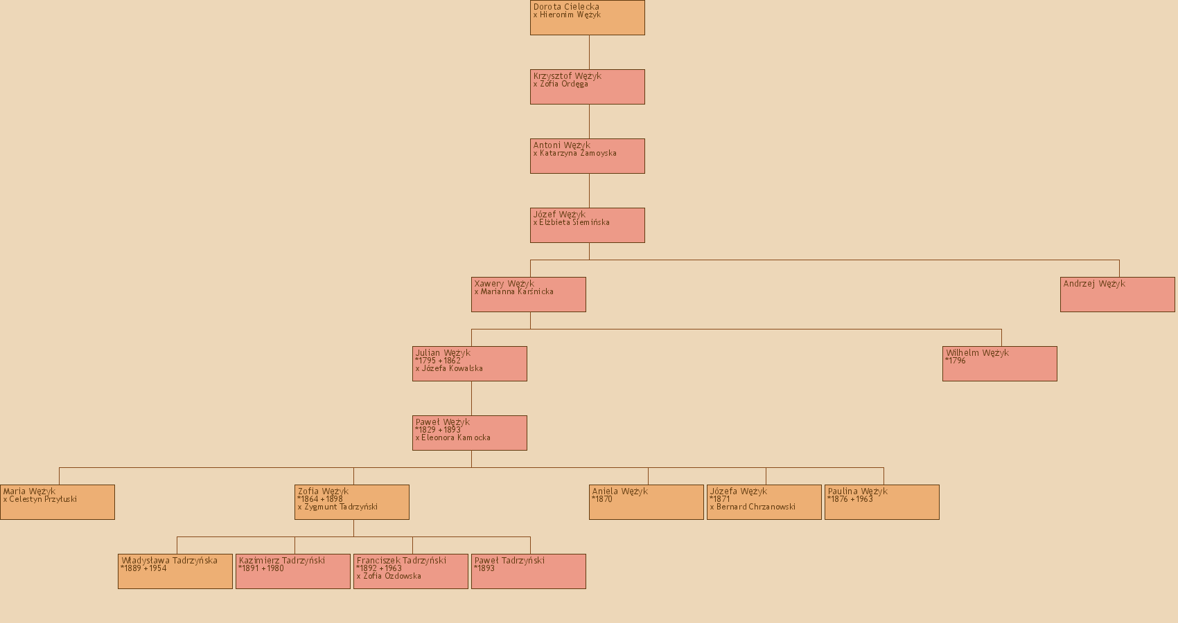 Drzewo genealogiczne - Dorota Cielecka